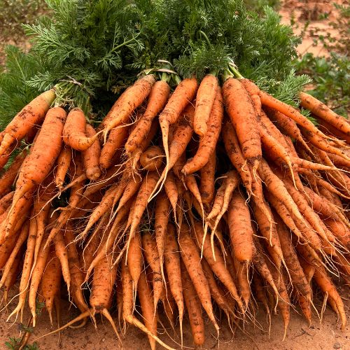 Demases Farm photo 15